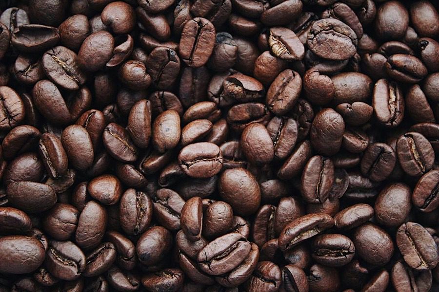 Investment Opportunities in Indonesia’s Coffee Industry