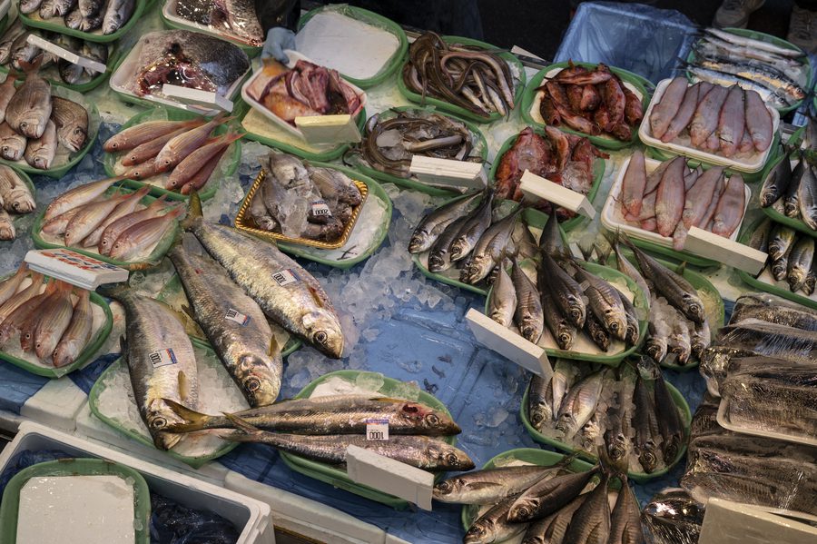 Audit Obligations for Foreign-Owned Companies in Indonesia’s Fisheries Sector