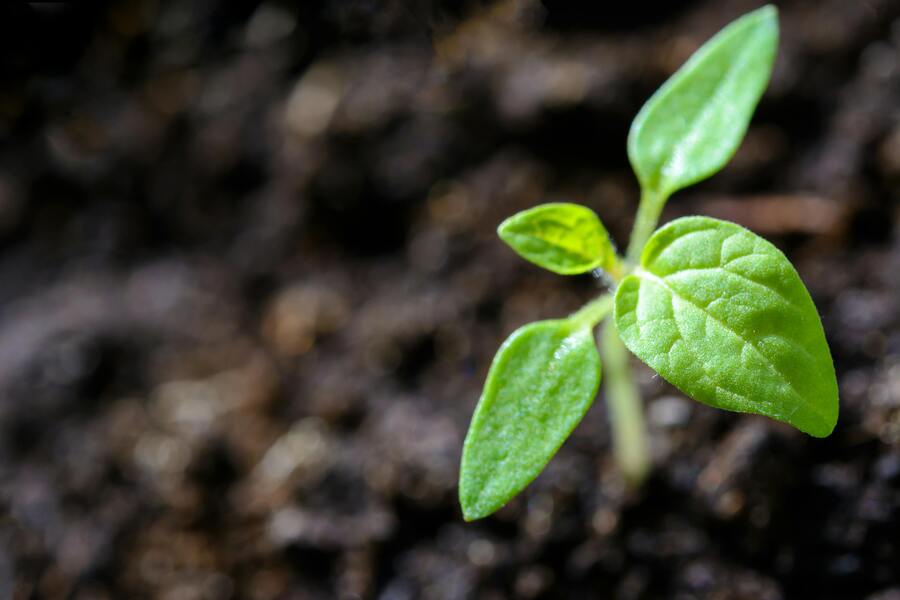 How Environmental Non-Compliance Can Invalidate a Business License in Indonesia